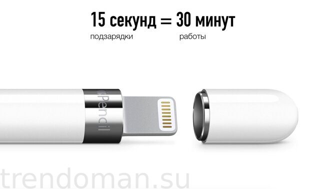 6. Стилус Apple Pencil 1