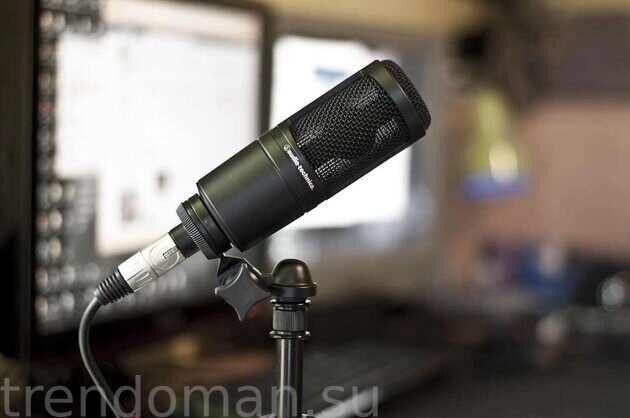 3. Микрофон - Audio-Technica AT2020